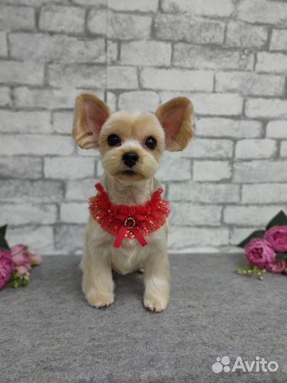 Профессиональная стрижка собак