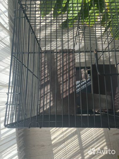 Клетка для крыс
