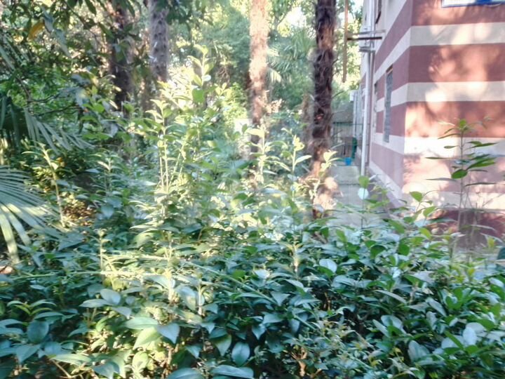 2-к. квартира, 50 м², 1/3 эт.