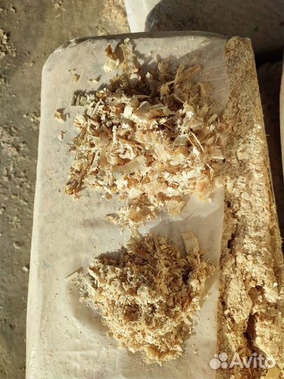 Стружка древесная в брикетах