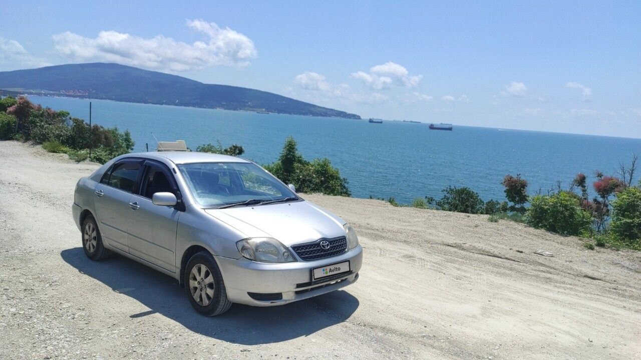 Toyota Corolla: фото владельца