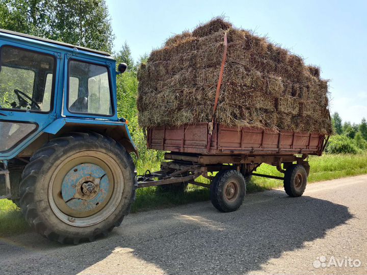 Отава клеверная в кипах(тюках)
