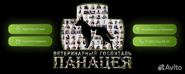 Ветеринарный фельдшер