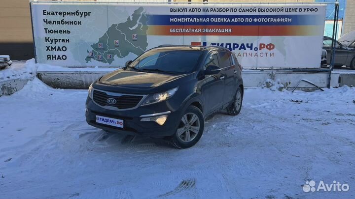 Уплотнитель стекла двери заднего правого Kia Sport