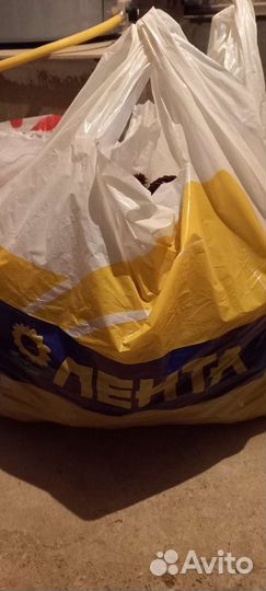 Шишки еловые