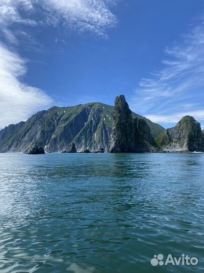 30.07. бухта Русская Морские прогулки