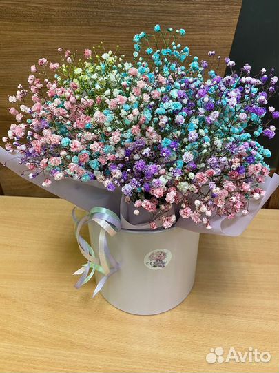 Гипсофила в коробочке