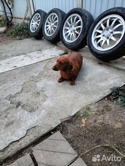 Кованые диски r15 4x100