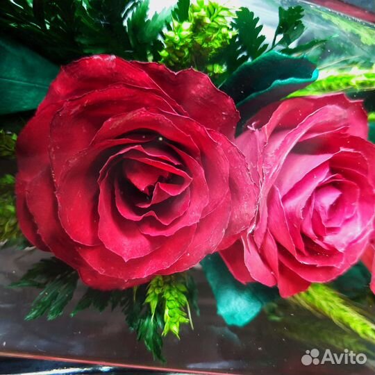 Цветы живые розы в колбе