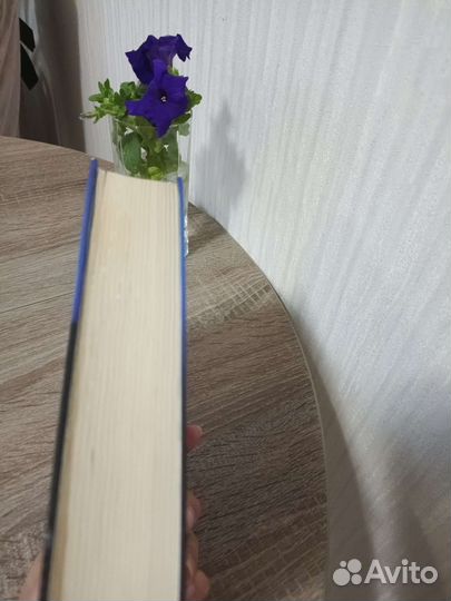 Утраченный символ. Дэн Браун