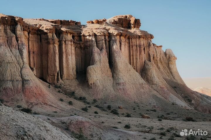 Тур в Монголию