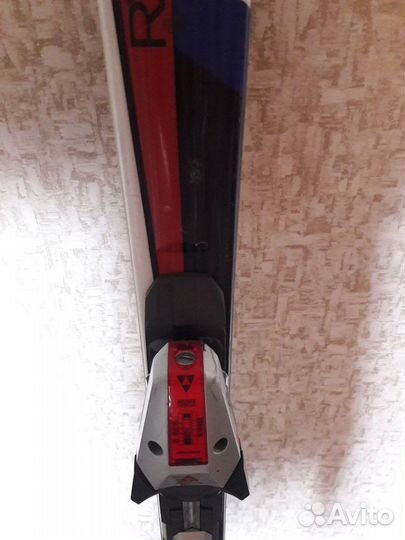 Горные лыжи Fischer