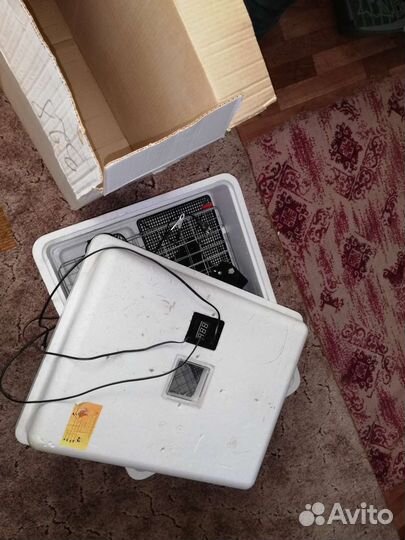 Инкубатор для яиц