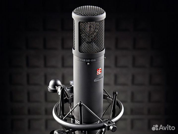 SE electronics SE 2200 - конденсаторный микрофон