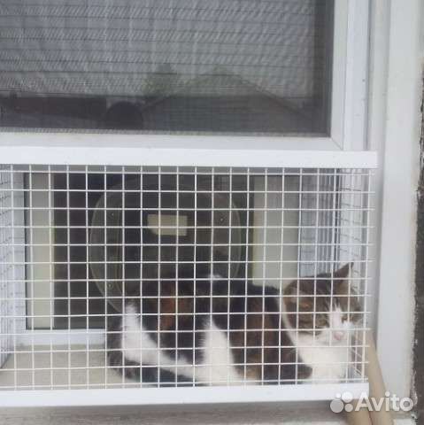 Вольер для животных