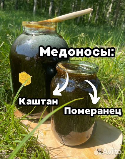 Каштановый мед (с Абхазии)