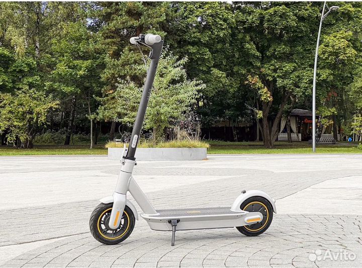 Электросамокат Ninebot Kickscooter Max G30LP Gray