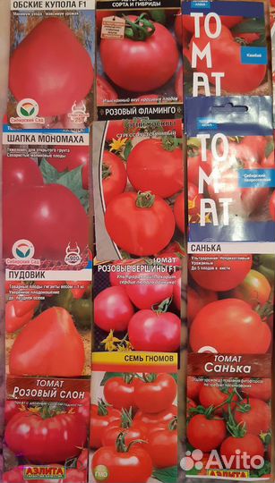 Рассада томатов