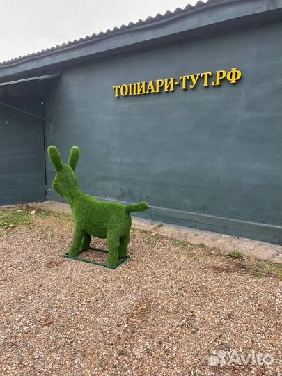 Садовые фигуры Топиари Топиарные фигуры