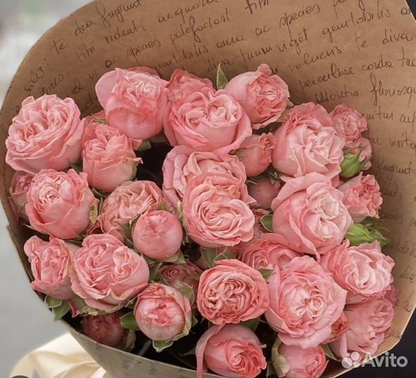 31 Роза пионовидная