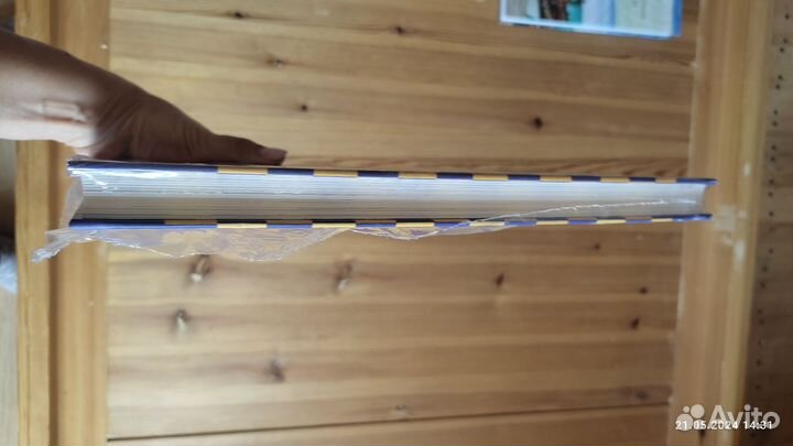 Волшебный город. Эдит Несбитт. (Нигма)