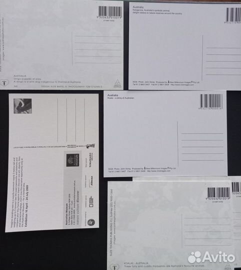 Открытки с животными Австралии