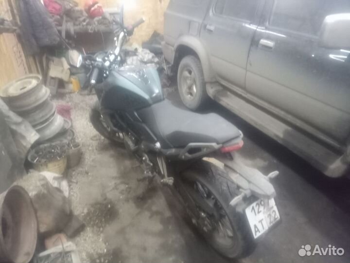 Рейсер кайман 250