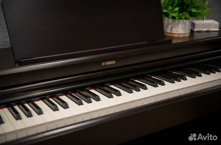 Цифровое пианино Yamaha 145 + Банкетка