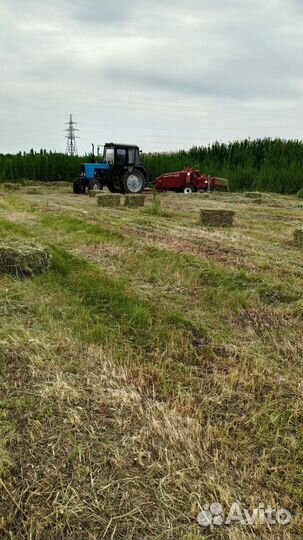 Солома, сено