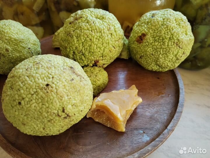 Бальзам от грибка