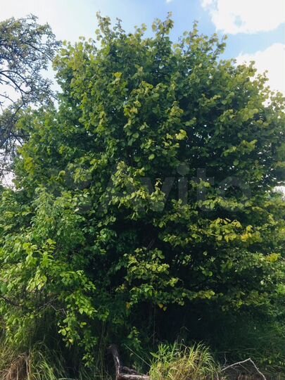 Дача 18 м² на участке 17 сот.