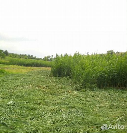 Работы по участку