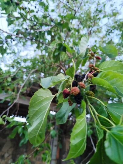 Дом 155,8 м² на участке 3 сот.