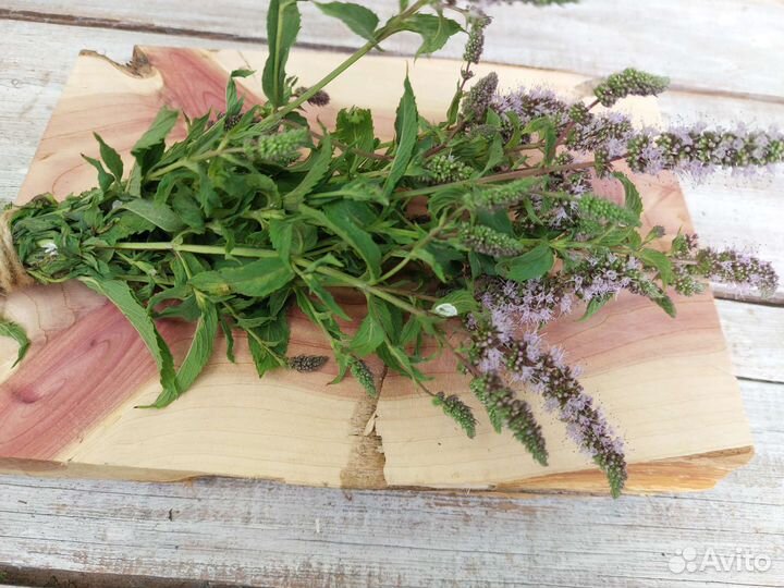 Слэб дерева и спилы. Набор из 4 спилов