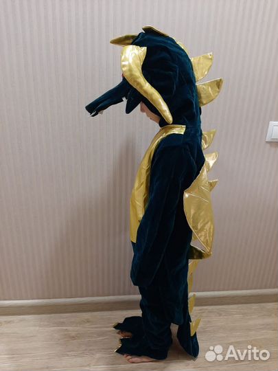 Костюмы детские Прокат Дракон,собака,змея,Леди Баг