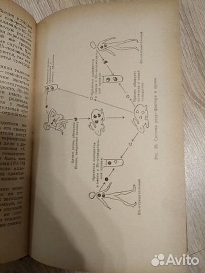 Генетика Ш.Ауэрбах 1966