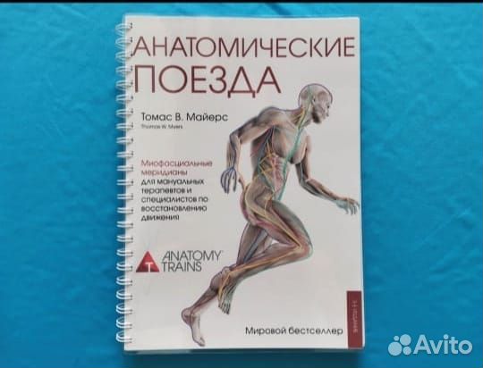 Анатомические поезда