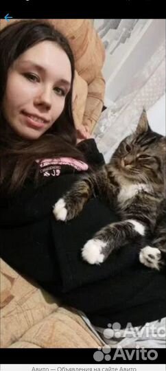 Котоняня, уход за животными
