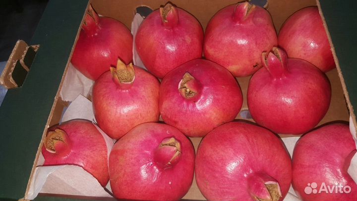 Гранат, Египет, сорт Балади / Вандерфул