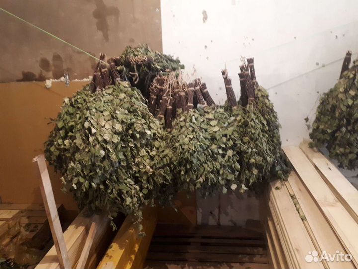 Дубовые веники для бани