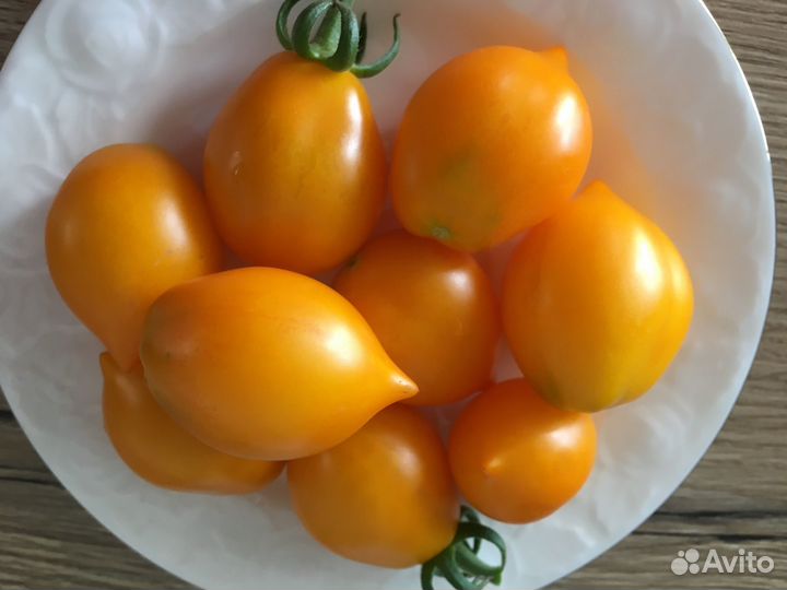 Семена коллекционных сортов томатов