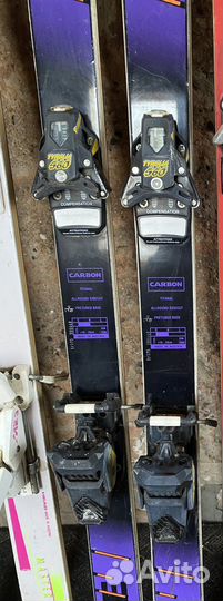 Горные лыжи