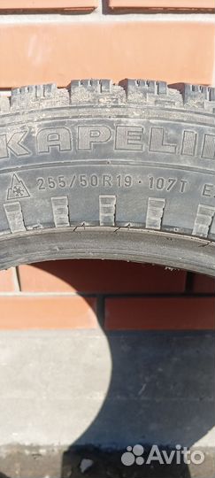 Habilead PracticalMax HP5 255/50 R19 107T