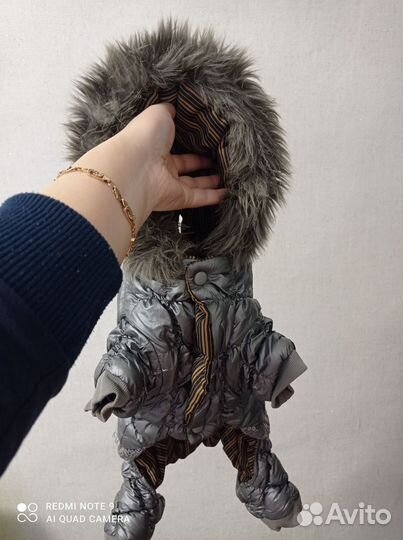 Одежда для маленьких собак зимняя