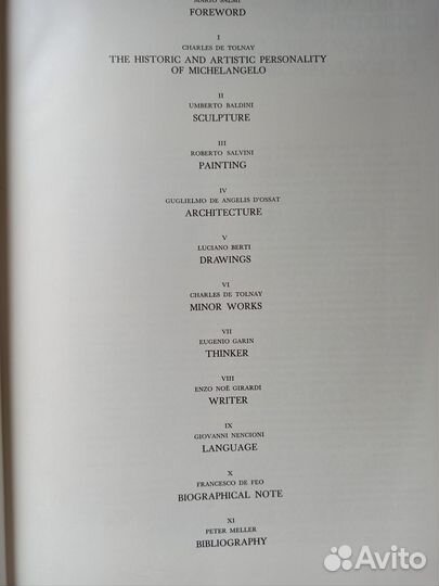 Книга Микеланджело