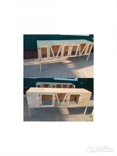 Брудер, клетки