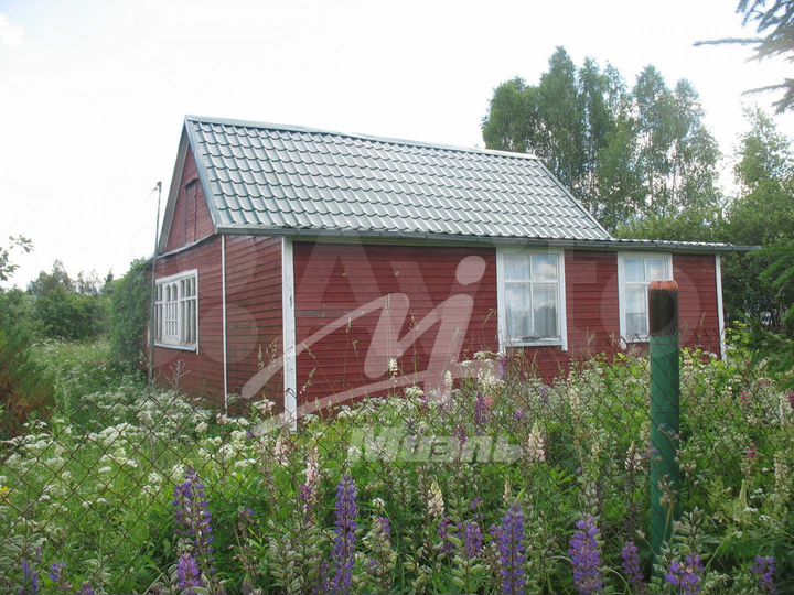 Дом 50,2 м² на участке 12 сот.