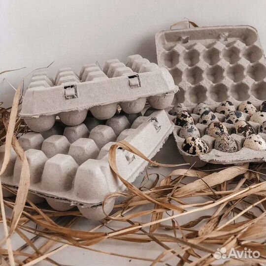 Новые ячейки для перепелиных яиц. 50 штук