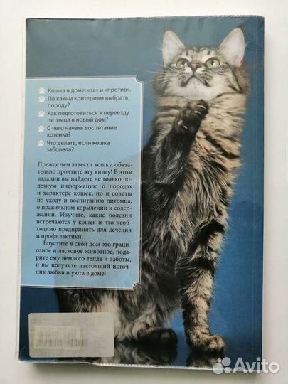 Книга все о кошках