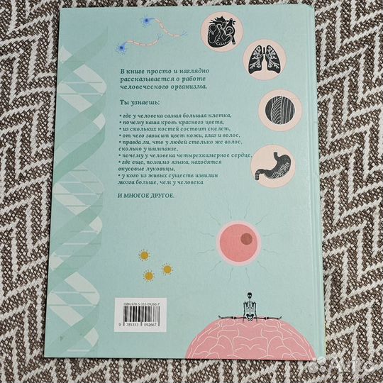 Тело человека. визуальный гид. Кристина Перабони